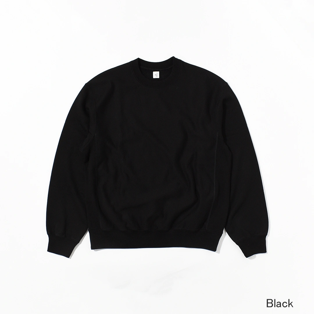 [bROOTS24F21F25]blurhms ROOTSTOCK(ブラームスルートストック) Soft&Hard Sweat Crew Neck P/O(ソフト＆ハードスウェットクルーネックプルオーバー)の商品画像