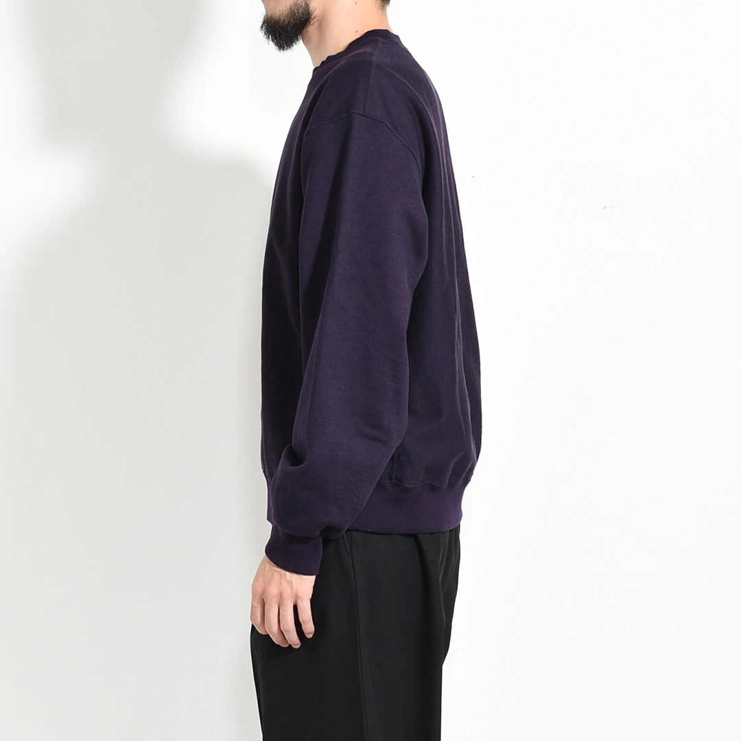 [bROOTS24F21F25]blurhms ROOTSTOCK(ブラームスルートストック) Soft&Hard Sweat Crew Neck P/O(ソフト＆ハードスウェットクルーネックプルオーバー)の商品画像