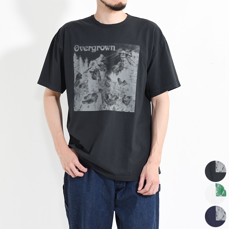 SF-252258]SASSAFRAS (ササフラス) OVERGROWN WARDEN T 1/2 (オーバー