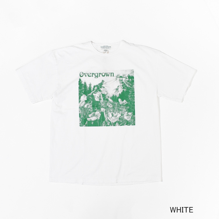 SF-252258]SASSAFRAS (ササフラス) OVERGROWN WARDEN T 1/2 (オーバー