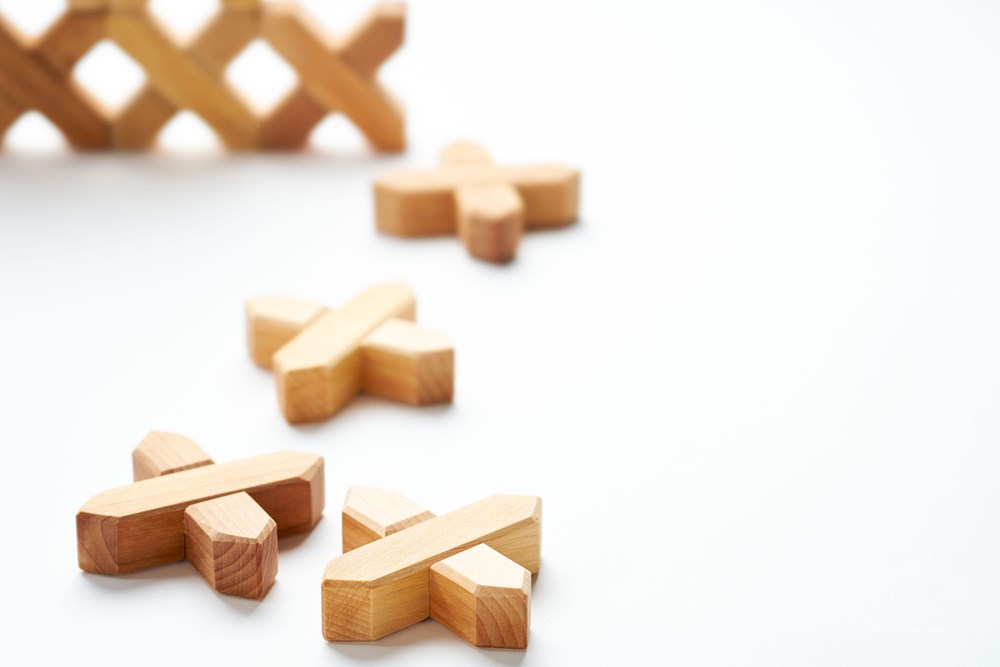 バウシュピール Xブロック48PCS BAUSPIEL BAU-0155