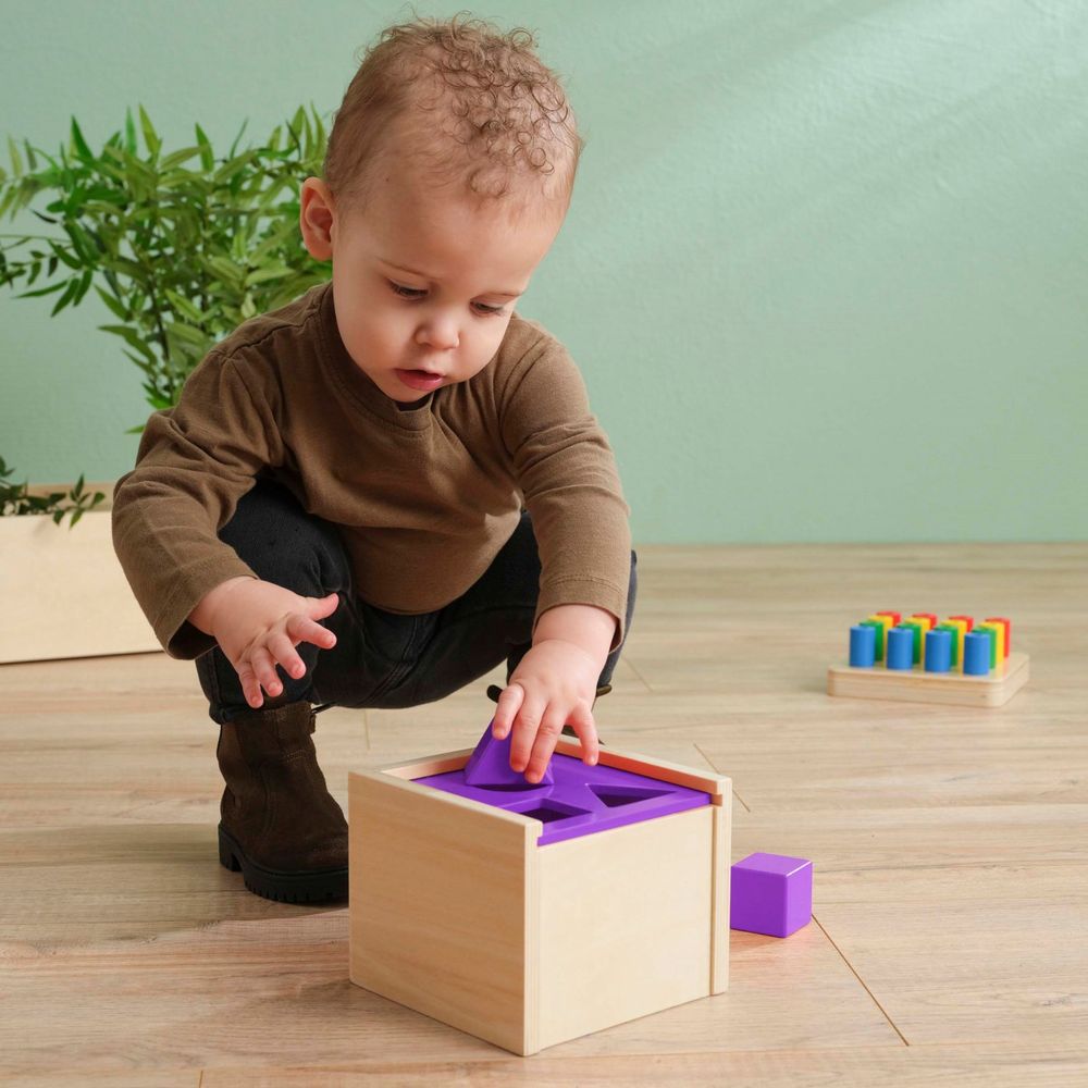 エデュコ educo 積み木落とし 型はめ ポストボックス Post the Shape 木のおもちゃ 木製玩具 知育玩具 モンテッソーリ教育 ０歳 １歳 2歳 つみき 積み木 幼稚園 保育園