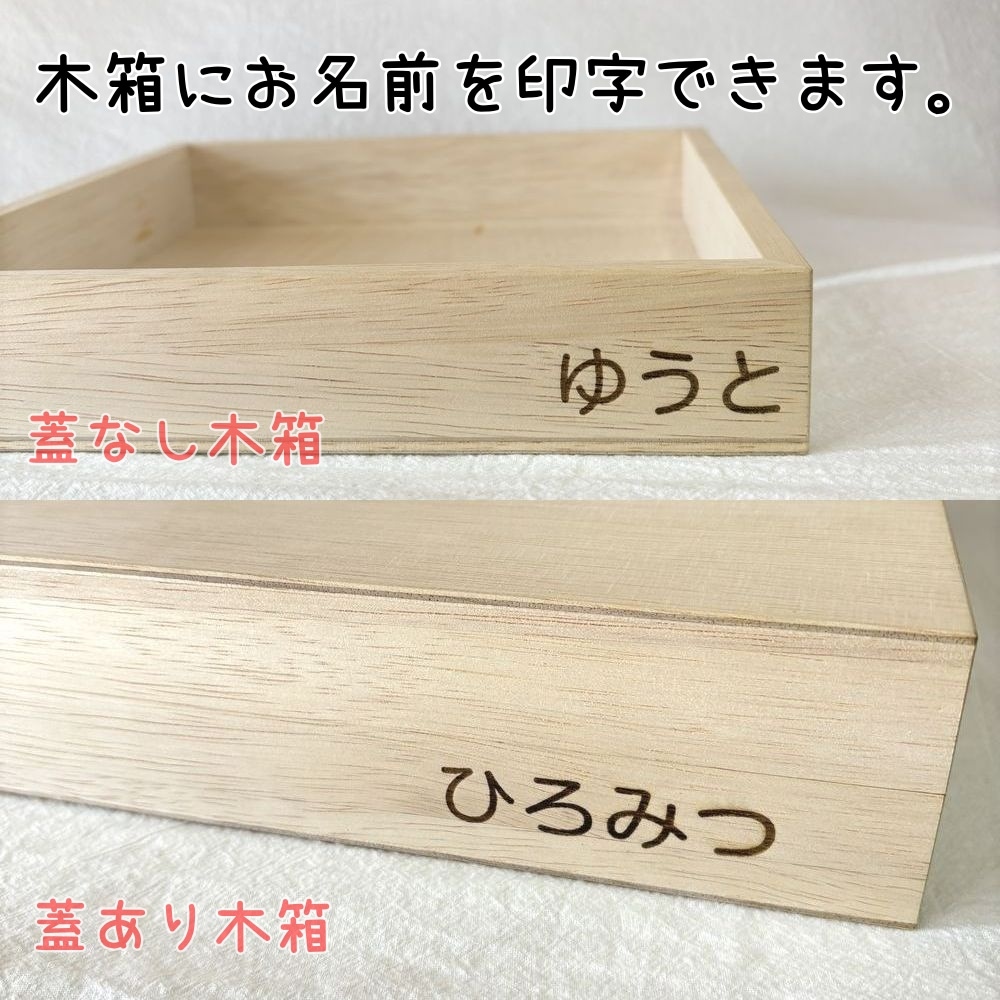 名入れ】リグノ ネフ社 国産木箱おまけ付 パターンブック付 正規輸入品