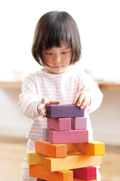 グリムス社 にじのステップブロック GM42090