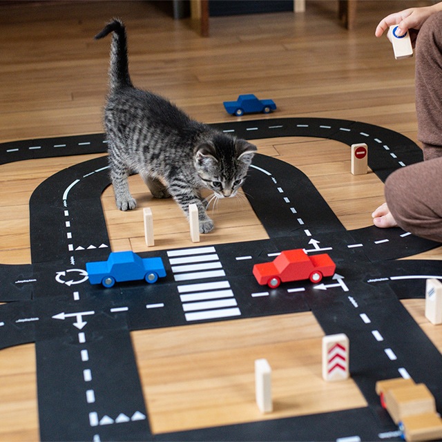 waytoplay キングオブザロード・ギフトセット 40枚 木製カー付 ウェイトゥプレイ