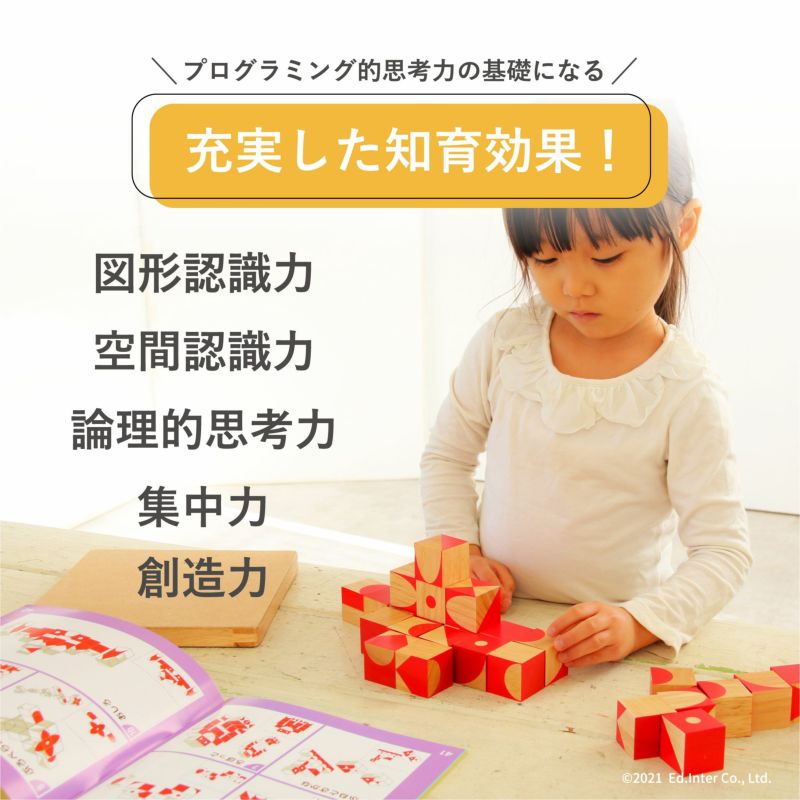 エドインター　脳活キューブ　知育玩具　パズル　積み木　グッド・トイ受賞