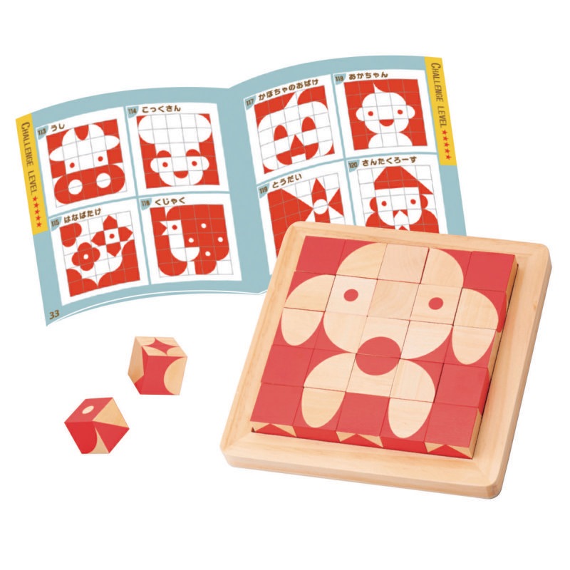 エドインター　脳活キューブ　知育玩具　パズル　積み木　グッド・トイ受賞