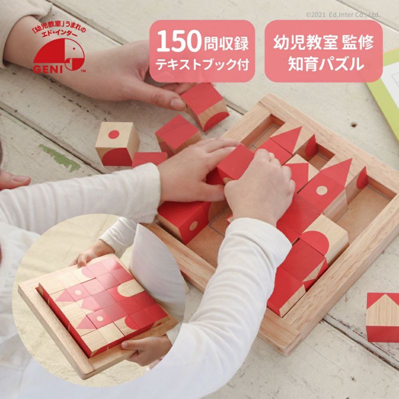 エドインター　脳活キューブ　知育玩具　パズル　積み木　グッド・トイ受賞