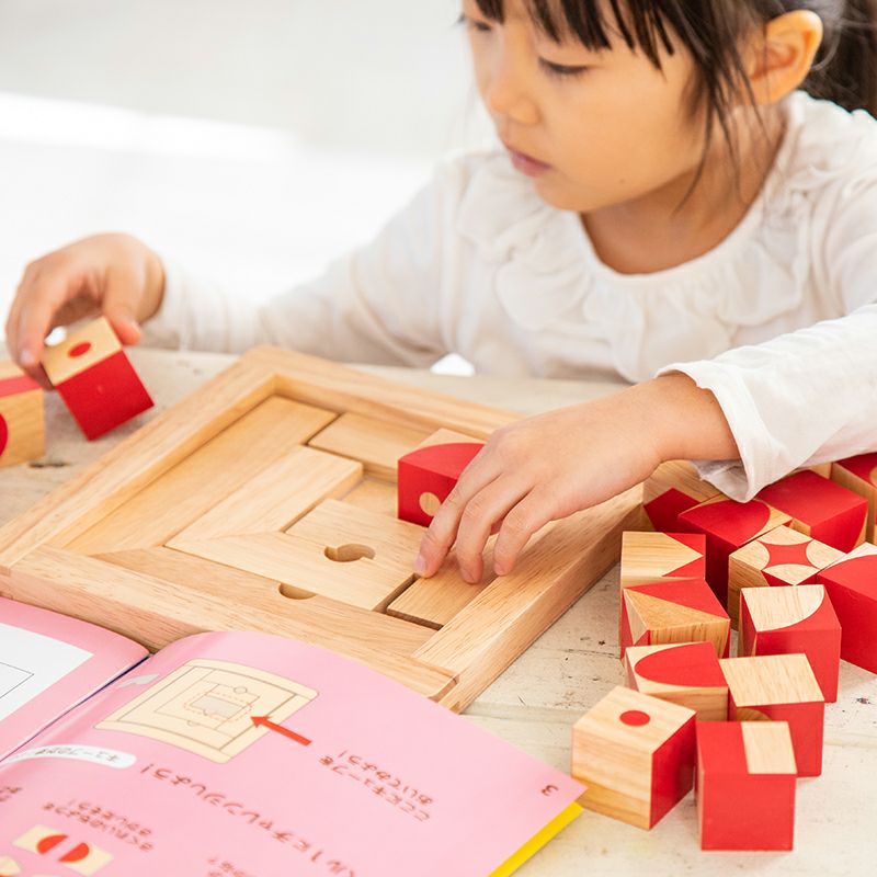 エドインター　脳活キューブ　知育玩具　パズル　積み木　グッド・トイ受賞