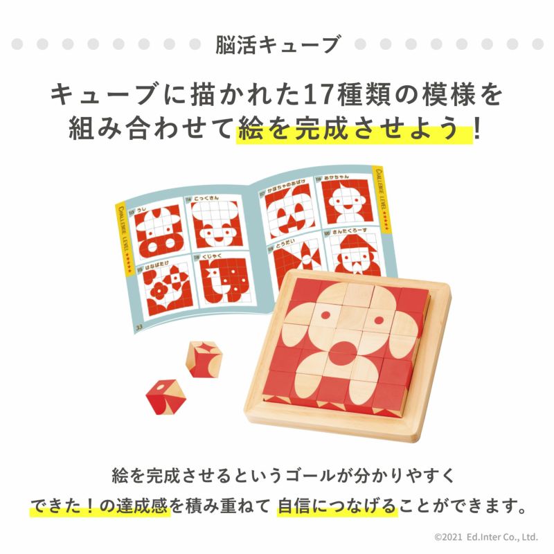 エドインター　脳活キューブ　知育玩具　パズル　積み木　グッド・トイ受賞