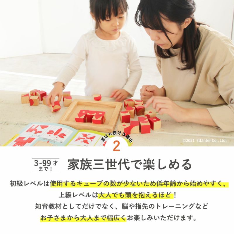 エドインター　脳活キューブ　知育玩具　パズル　積み木　グッド・トイ受賞