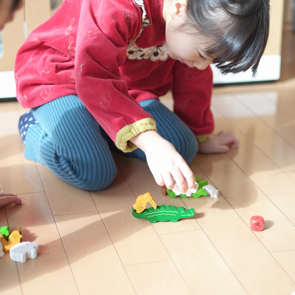 ハバ社 ゲーム・ワニに乗る? HABA HA4922