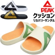   ꥫХ꡼ ԡ 饤  饤 SLIDES TS-02 PEAK LIFE TAICHI  ǥ  ݡ ȥɥ 