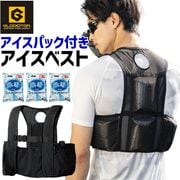 GLADIATOR �������٥��ȡ��������ѥå�ɹ��(150g)��3�ĥ��å� G-260469 �������� ����٥��� ����ޥ��å� Ǯ����к� �ղ� ����� �����