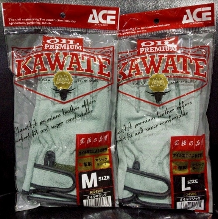 ACE/AG4580/ץޥå/َ̎ߎڎЎclassAA/ML/10