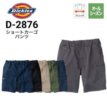 ディッキーズ Dickies D-1085 秋冬 オールシーズン カーゴパンツ