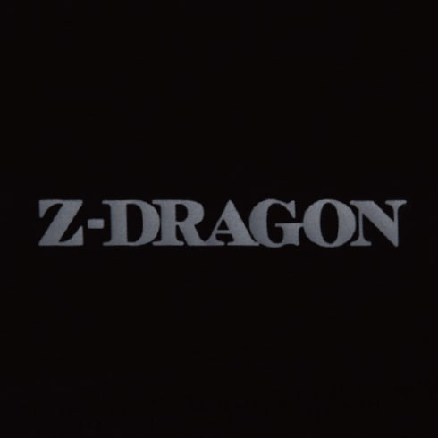 Z-DRAGON 75139 ロングレッグカバー コンプレッション 春夏 自重