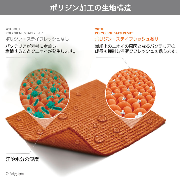 [即日出荷]アニマリード 手術帽 手術用キャップ マスクがけ メガネスリット ANIMALEAD 獣医師 トリマー 動物病院 ペットショップ 男性 女性 兼用 チトセ 帽子 [ネコポス] ct-al0011