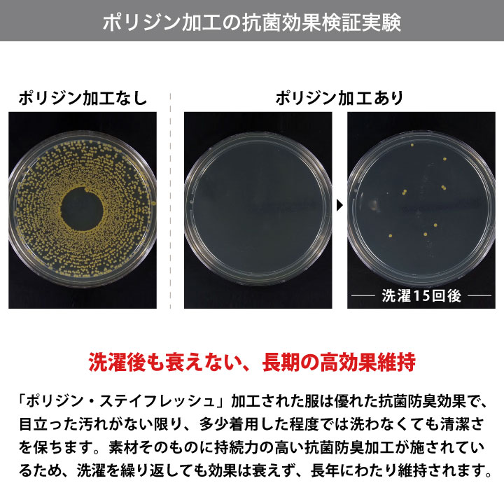 [即日出荷]アニマリード 手術帽 手術用キャップ マスクがけ メガネスリット ANIMALEAD 獣医師 トリマー 動物病院 ペットショップ 男性 女性 兼用 チトセ 帽子 [ネコポス] ct-al0011