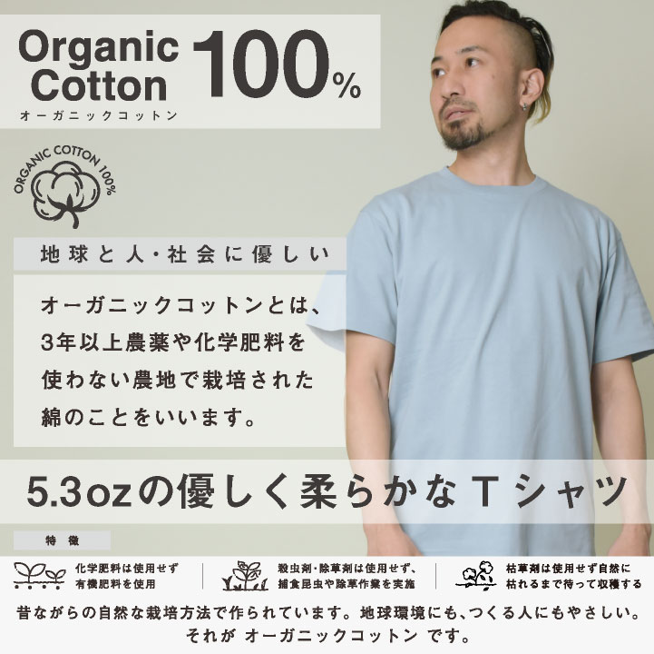 即日出荷] アソビナ 半袖Tシャツ オーガニックコットン 春夏 上着