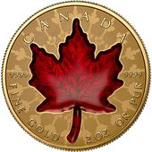 ͽ  2024 ʥ ꥶ٥2 ᥤץ꡼ 200ʥɥ  2 Сץ롼 NGC REVERSE PF 70 FDOI ǡʽ˺ǹ ̤ Ȣ 