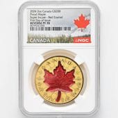  2024 ʥ ꥶ٥2 ᥤץ꡼ 200ʥɥ  2 Сץ롼 NGC REVERSE PF 70 FDOI ǡʽ˺ǹ ̤ Ȣ 