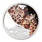 ������ 2014 �ĥХ� ����� ���顼��� 1/2���� ����̤������ ��Ȣ��