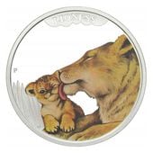 ������ 2014 �ĥХ� �饤���� ���顼��� 1/2���� ����̤������ ��Ȣ��