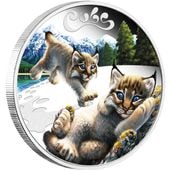 ������ 2016 �ĥХ� ��󥯥� ���顼��� 1/2���� ����̤������ ��Ȣ��