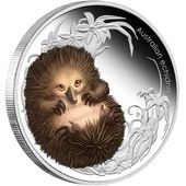 ������ 2013 �ĥХ� �����ɥ� ���顼��� 1/2���� ����̤������ ��Ȣ��