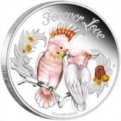 ������ 2014 �ĥХ� �ե������С������ ���顼��� 1/2���� ����̤������ ��Ȣ��