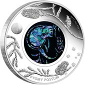 ������ 2013 �������ȥ�ꥢ �ԥ��ߡ��ݥå��� 1��ɥ� ��� 1���� ���ѡ����Ȥ���� ����̤������ ��Ȣ��