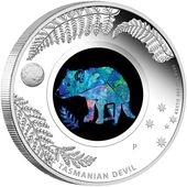 ������ 2014 �������ȥ�ꥢ �����ޥ˥��ǥӥ� 1��ɥ� ��� 1���� ���ѡ����Ȥ���� ����̤������ ��Ȣ��