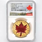 ������������ 2024 ���ʥ� ���ꥶ�٥�2�� �ᥤ�ץ�꡼�� 200���ʥ��ɥ� ��� 2���� ��С����ץ롼�� NGC REVERSE PF 70 FDOI �����ǡʽ�������˺ǹ���� ����̤������ ��Ȣ�� 