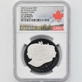 ������ 2022 ���ʥ� ���ꥶ�٥�2�� ������롦�����ե� 20���ʥ��ɥ� ��� ���������å��ž夲 1���� ��ä��ץ롼�� �ץ롼�եޥå� NGC PF 70 MATTE FR ������ �ǹ���� ����̤������ ��Ȣ��