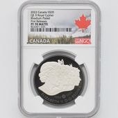 ������ 2022 ���ʥ� ���ꥶ�٥�2�� ������롦�����ե� 20���ʥ��ɥ� ��� ���������å��ž夲 1���� ��ä��ץ롼�� �ץ롼�եޥå� NGC PF 70 MATTE FR ������ �ǹ���� ����̤������ ��Ȣ��