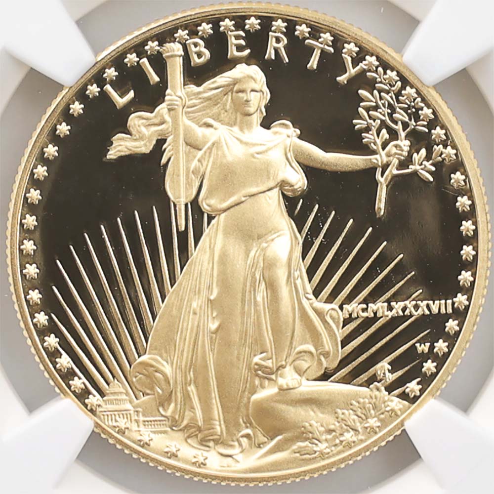 1987 ����ꥫ ���֥륤������ 50�ɥ� ��� 1���� �ץ롼�� NGC PF 70 UC  �ǹ���� ����̤������