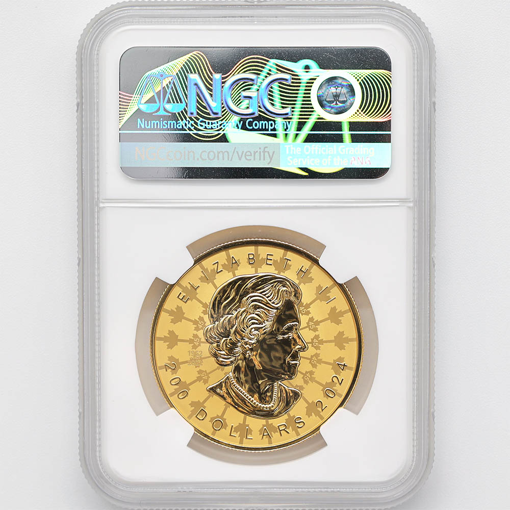 ������������ 2024 ���ʥ� ���ꥶ�٥�2�� �ᥤ�ץ�꡼�� 200���ʥ��ɥ� ��� 2���� ��С����ץ롼�� NGC REVERSE PF 70 FDOI �����ǡʽ�������˺ǹ���� ����̤������ ��Ȣ�� 