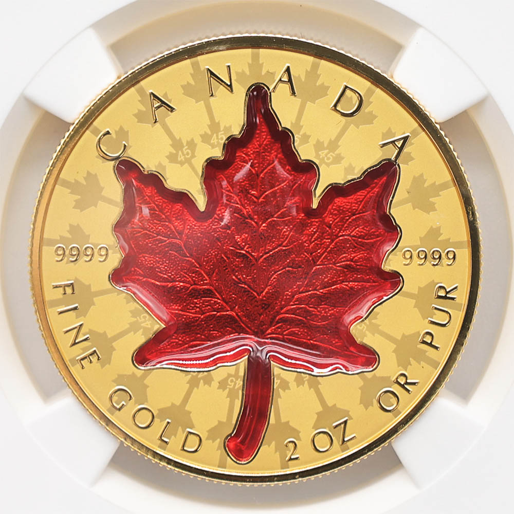 ������������ 2024 ���ʥ� ���ꥶ�٥�2�� �ᥤ�ץ�꡼�� 200���ʥ��ɥ� ��� 2���� ��С����ץ롼�� NGC REVERSE PF 70 FDOI �����ǡʽ�������˺ǹ���� ����̤������ ��Ȣ�� 