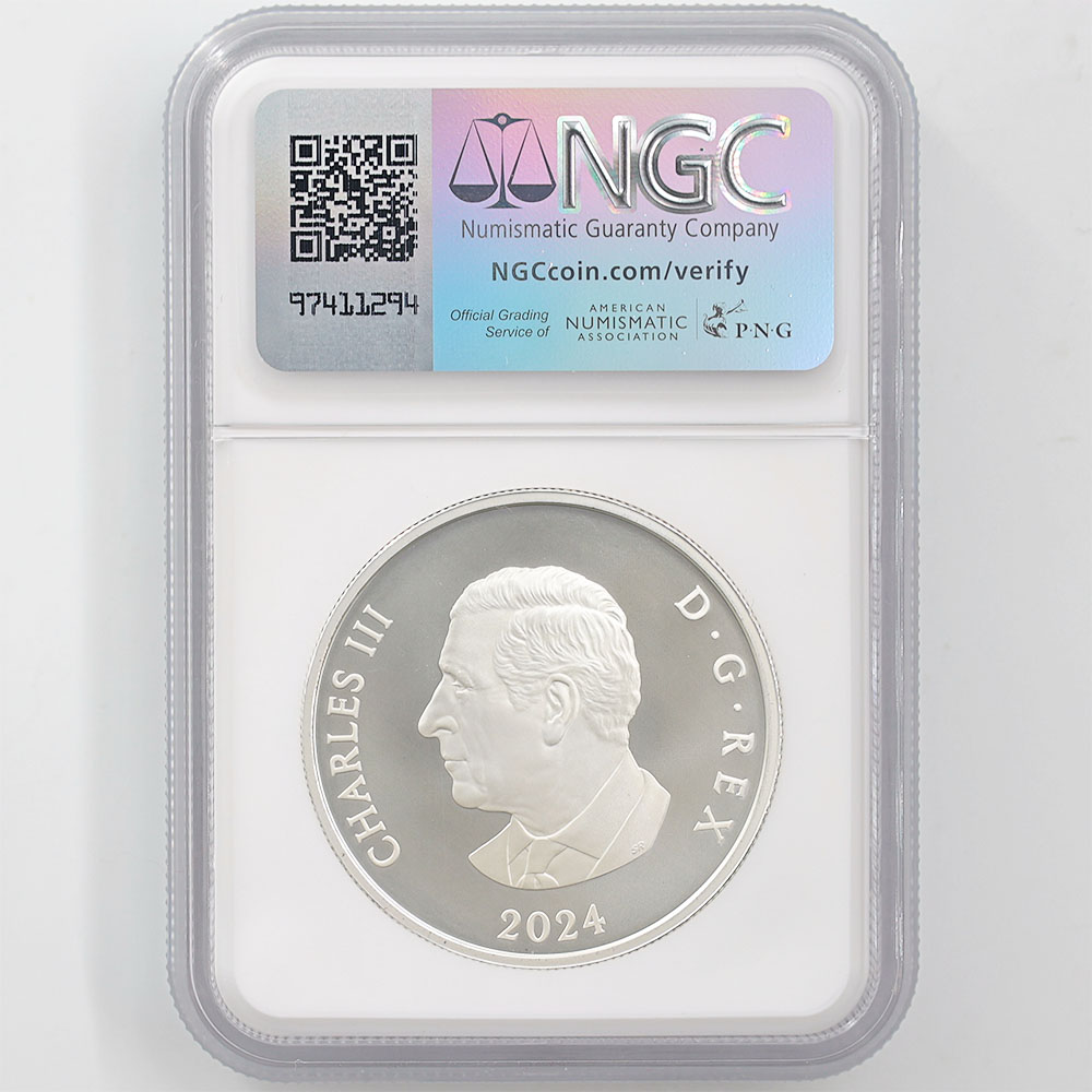 2024 ���ʥ� ���ե�����������ӥ꡼�����Ρ��ե졼�����֥����� 20���ʥ��ɥ� ��� ���顼���ȡ����� ���������å��ž夲 ��ä��ץ롼�� �ץ롼�եޥå� NGC PF 70 MATTE FR ������ �ǹ���� ����̤������ ��Ȣ��