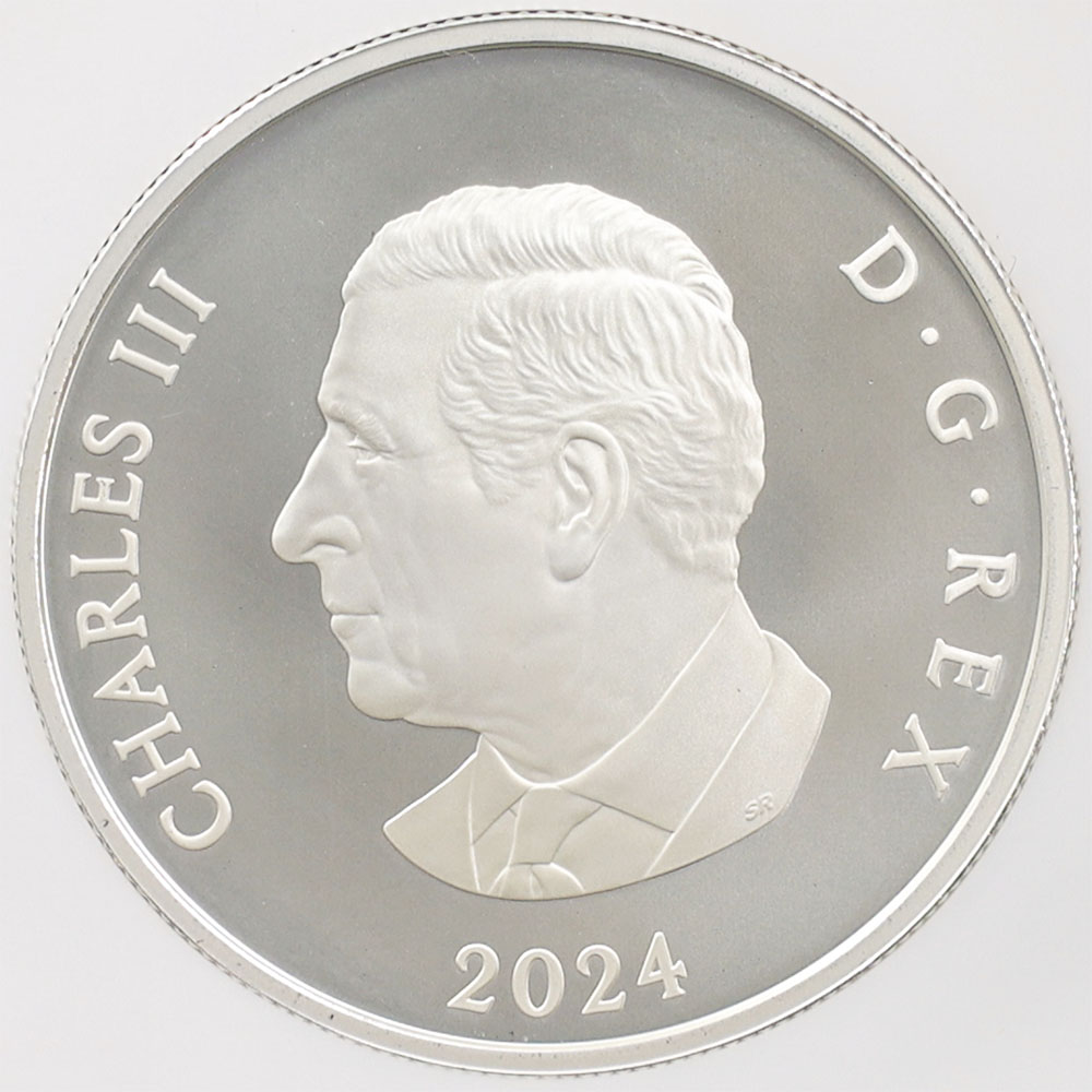 2024 ���ʥ� ���ե�����������ӥ꡼�����Ρ��ե졼�����֥����� 20���ʥ��ɥ� ��� ���顼���ȡ����� ���������å��ž夲 ��ä��ץ롼�� �ץ롼�եޥå� NGC PF 70 MATTE FR ������ �ǹ���� ����̤������ ��Ȣ��