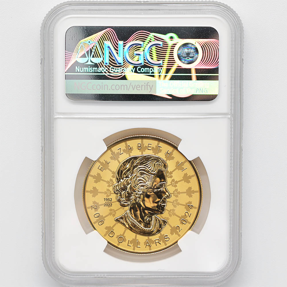 ������������ 2024 ���ʥ� ���ꥶ�٥�2�� �ᥤ�ץ�꡼�� 200���ʥ��ɥ� ��� 2���� ��С����ץ롼�� NGC REVERSE PF 70 FDOI �����ǡʽ�������˺ǹ���� ����̤������ ��Ȣ�� 