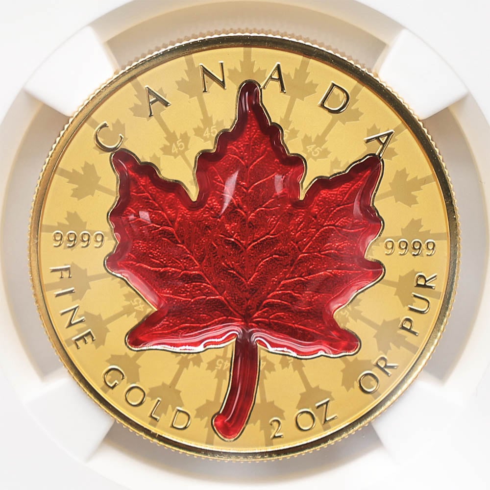 ������������ 2024 ���ʥ� ���ꥶ�٥�2�� �ᥤ�ץ�꡼�� 200���ʥ��ɥ� ��� 2���� ��С����ץ롼�� NGC REVERSE PF 70 FDOI �����ǡʽ�������˺ǹ���� ����̤������ ��Ȣ�� 