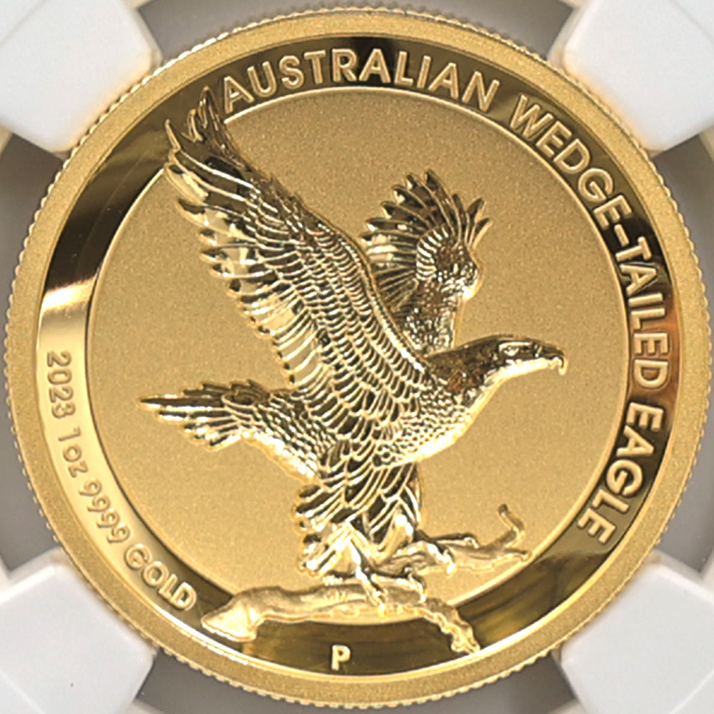 2023 �������ȥ�ꥢ �ϥ���꡼�� ���ʥ����̥亮 100��ɥ� ��� 1���� �ץ롼�� NGC PF 70 UC FR ������ �ǹ���� ����̤������ ��Ȣ�� �����å��ơ��륤������