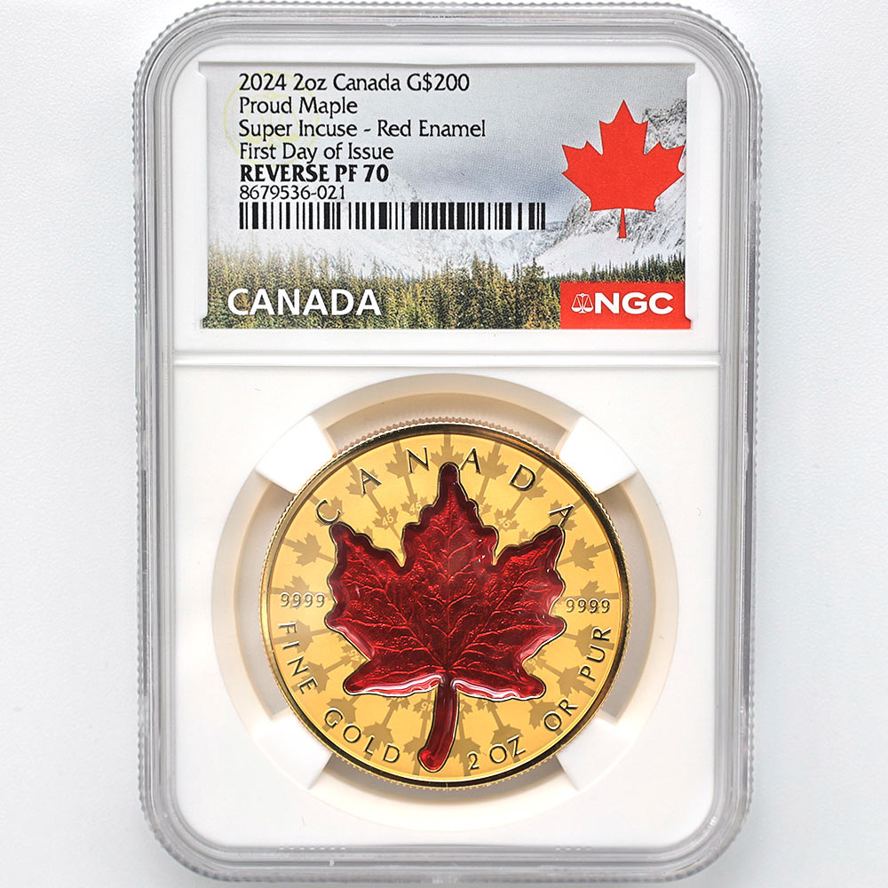 ������������ 2024 ���ʥ� ���ꥶ�٥�2�� �ᥤ�ץ�꡼�� 200���ʥ��ɥ� ��� 2���� ��С����ץ롼�� NGC REVERSE PF 70 FDOI �����ǡʽ�������˺ǹ���� ����̤������ ��Ȣ�� 