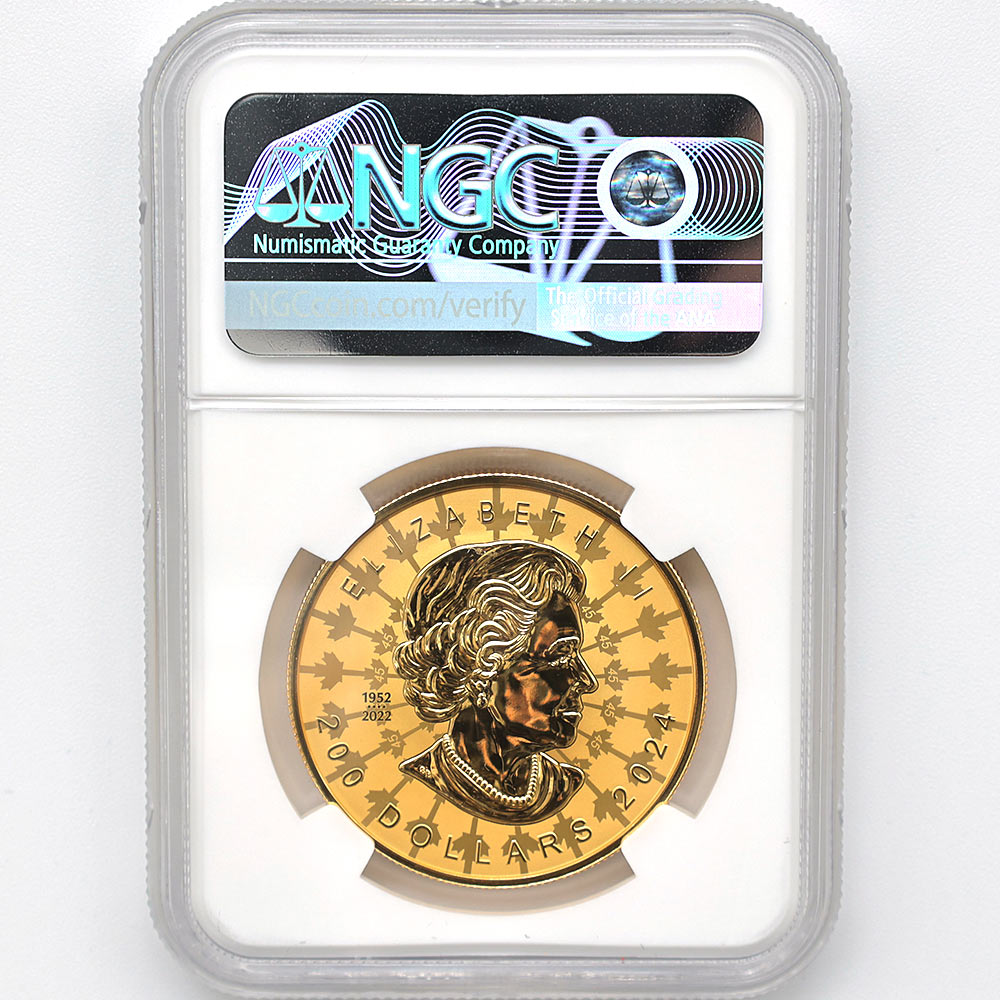 ������������ 2024 ���ʥ� ���ꥶ�٥�2�� �ᥤ�ץ�꡼�� 200���ʥ��ɥ� ��� 2���� ��С����ץ롼�� NGC REVERSE PF 70 FDOI �����ǡʽ�������˺ǹ���� ����̤������ ��Ȣ�� 