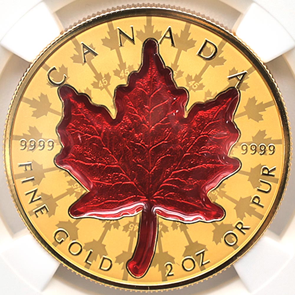 ������������ 2024 ���ʥ� ���ꥶ�٥�2�� �ᥤ�ץ�꡼�� 200���ʥ��ɥ� ��� 2���� ��С����ץ롼�� NGC REVERSE PF 70 FDOI �����ǡʽ�������˺ǹ���� ����̤������ ��Ȣ�� 