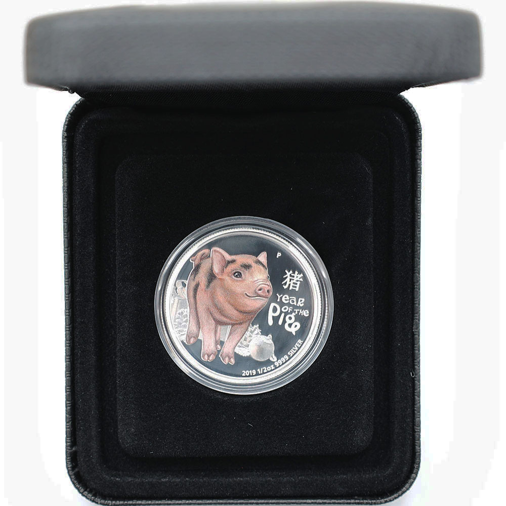 ������ 2019 �ĥХ� ���� ��ǯ�ڿ� ���顼��� 1/2���� ����̤������ ��Ȣ��