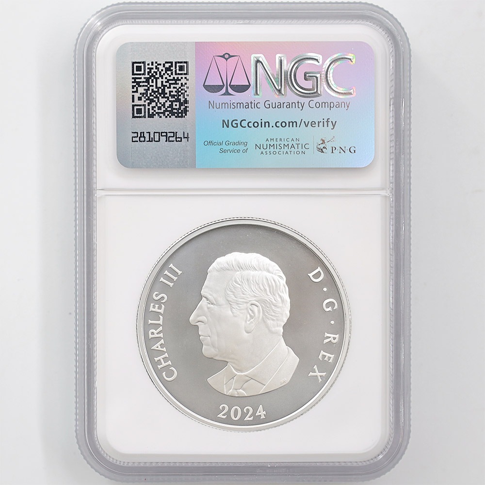 2024 ���ʥ� ���ե�����������ӥ꡼�����Ρ��ե졼�����֥����� 20���ʥ��ɥ� ��� ���顼���ȡ����� ���������å��ž夲 ��ä��ץ롼�� �ץ롼�եޥå� NGC PF 70 MATTE FR ������ �ǹ���� ����̤������ ��Ȣ��