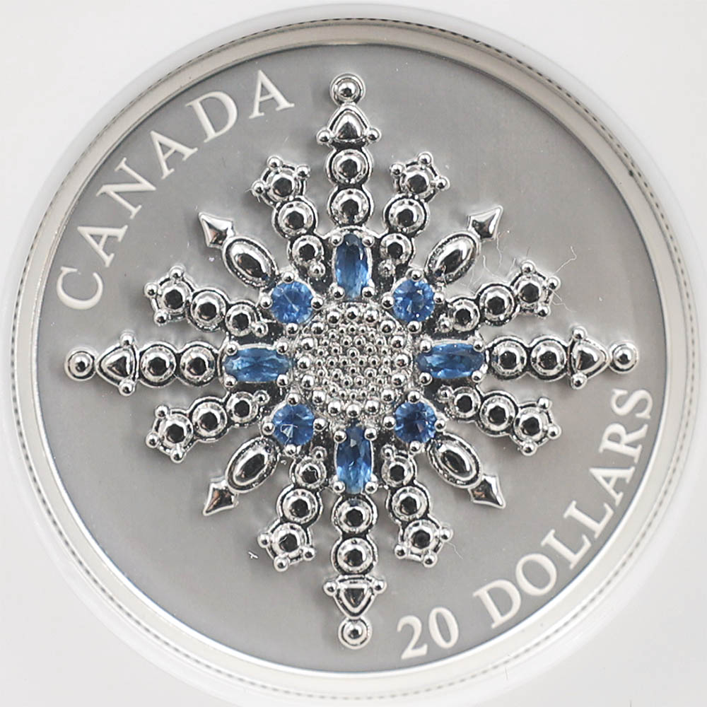 2024 ���ʥ� ���ե�����������ӥ꡼�����Ρ��ե졼�����֥����� 20���ʥ��ɥ� ��� ���顼���ȡ����� ���������å��ž夲 ��ä��ץ롼�� �ץ롼�եޥå� NGC PF 70 MATTE FR ������ �ǹ���� ����̤������ ��Ȣ��